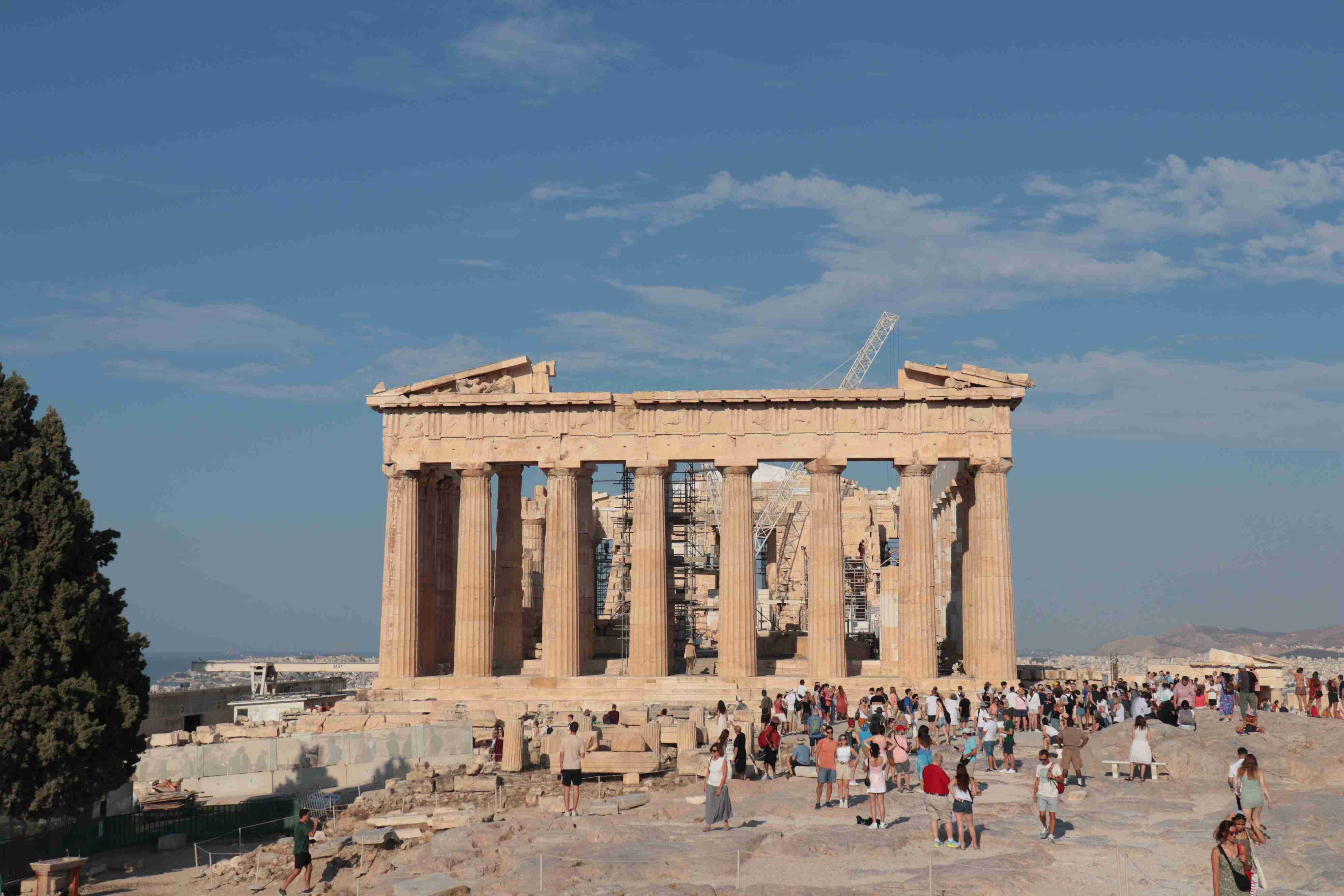 これを直に見た人はプラス