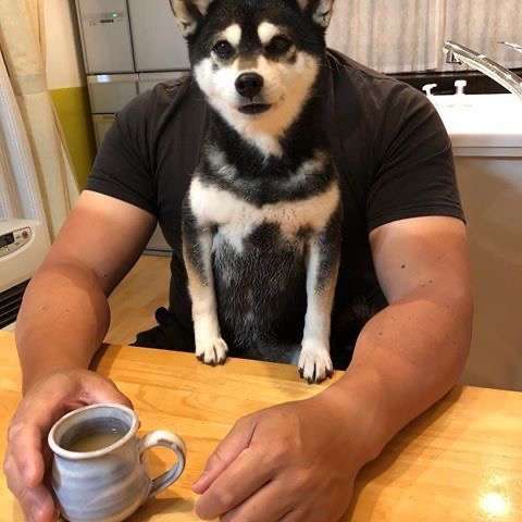 コラかと思ったらコラじゃなかった画像トピ