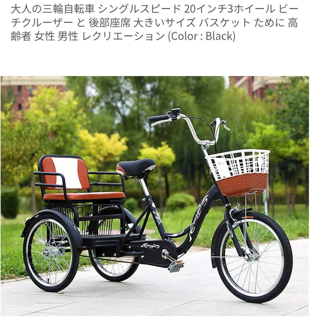 自転車の「子乗せ」範囲拡大　小学生以上でも“自転車の後ろ”に乗せられる」実現したら…「総重量“130キロ超”でバランス崩して事故」なんてことも