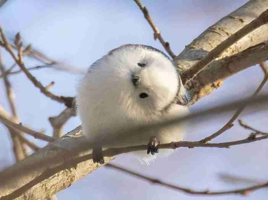 一発ギャグを披露して逃げる