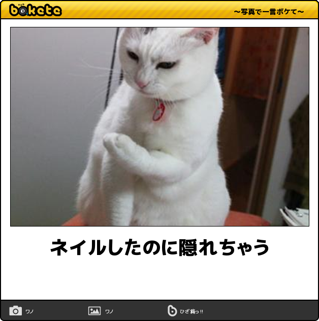 どんなネイルしていますか。