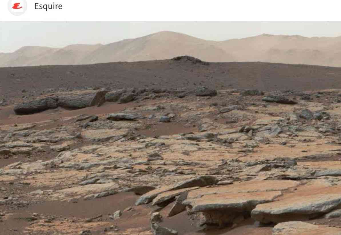 火星の土地権利証にツッコミを入れるコメント