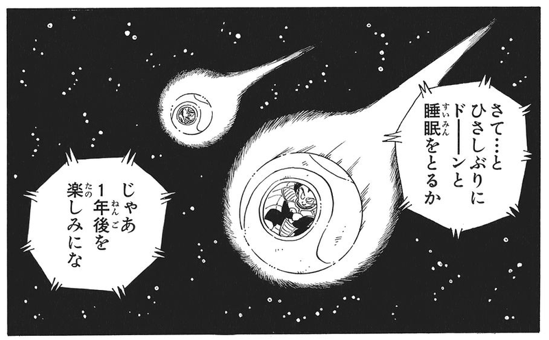 浜辺で見つかった謎の球体、地球に再突入した宇宙ごみか 豪州