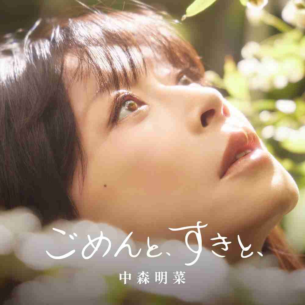 色んな中森明菜が見たい