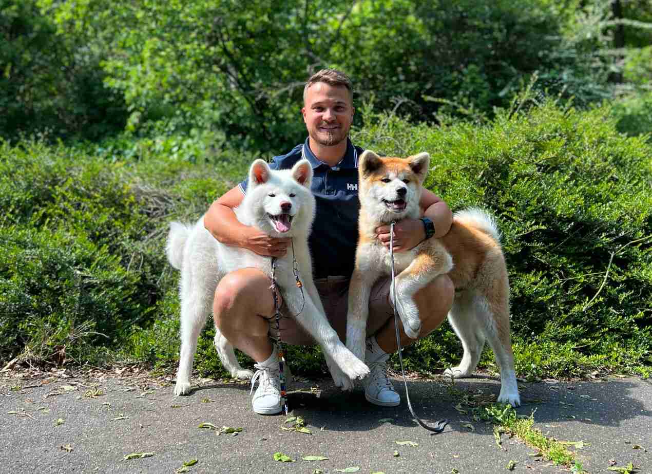 特大秋田犬が2本足でぐいっと直立、飼い主と並んだら