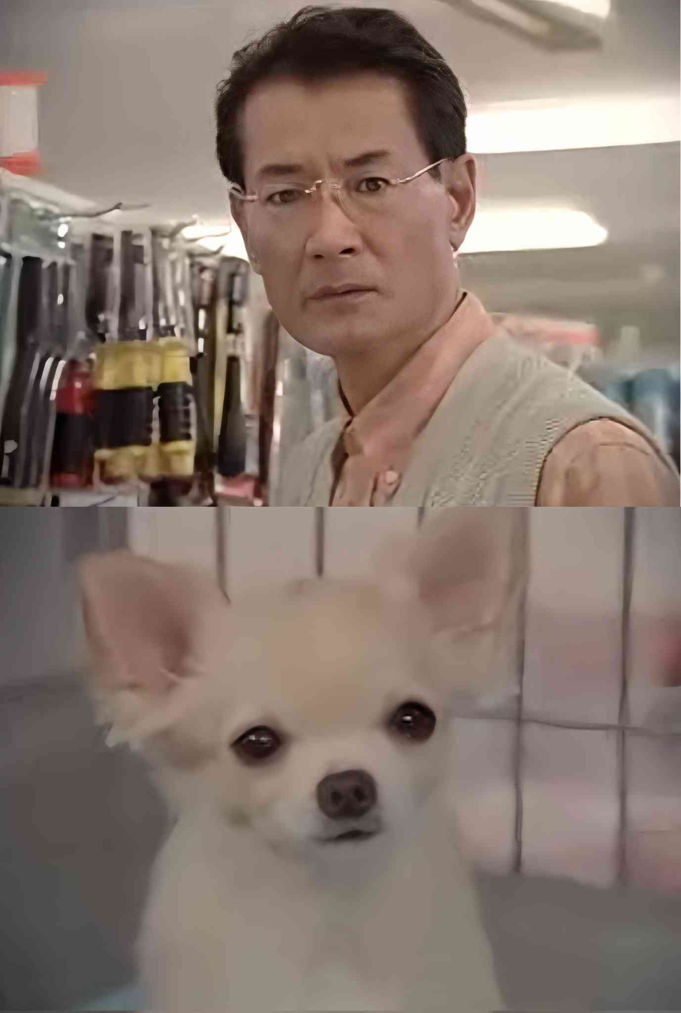 きっかけを教えて欲しい