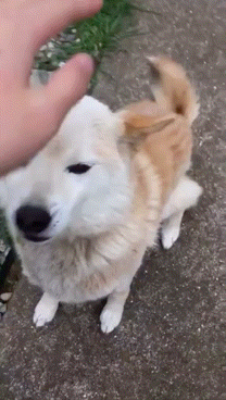 見たらちょっとフフッとなるかもしれないトピ Part9