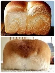 見たらちょっとフフッとなるかもしれないトピ Part9