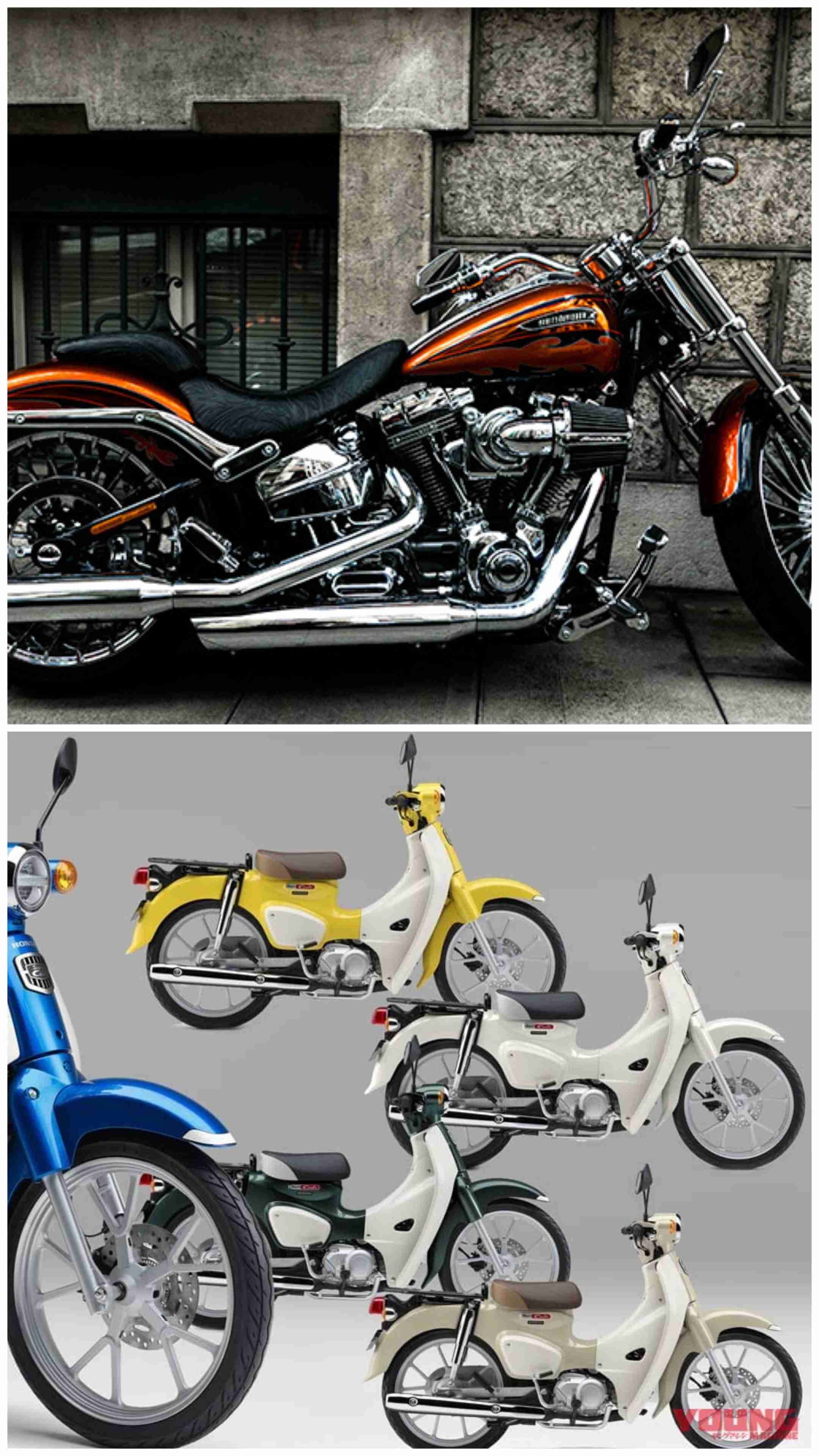 無性にバイクの免許が欲しくなってきた