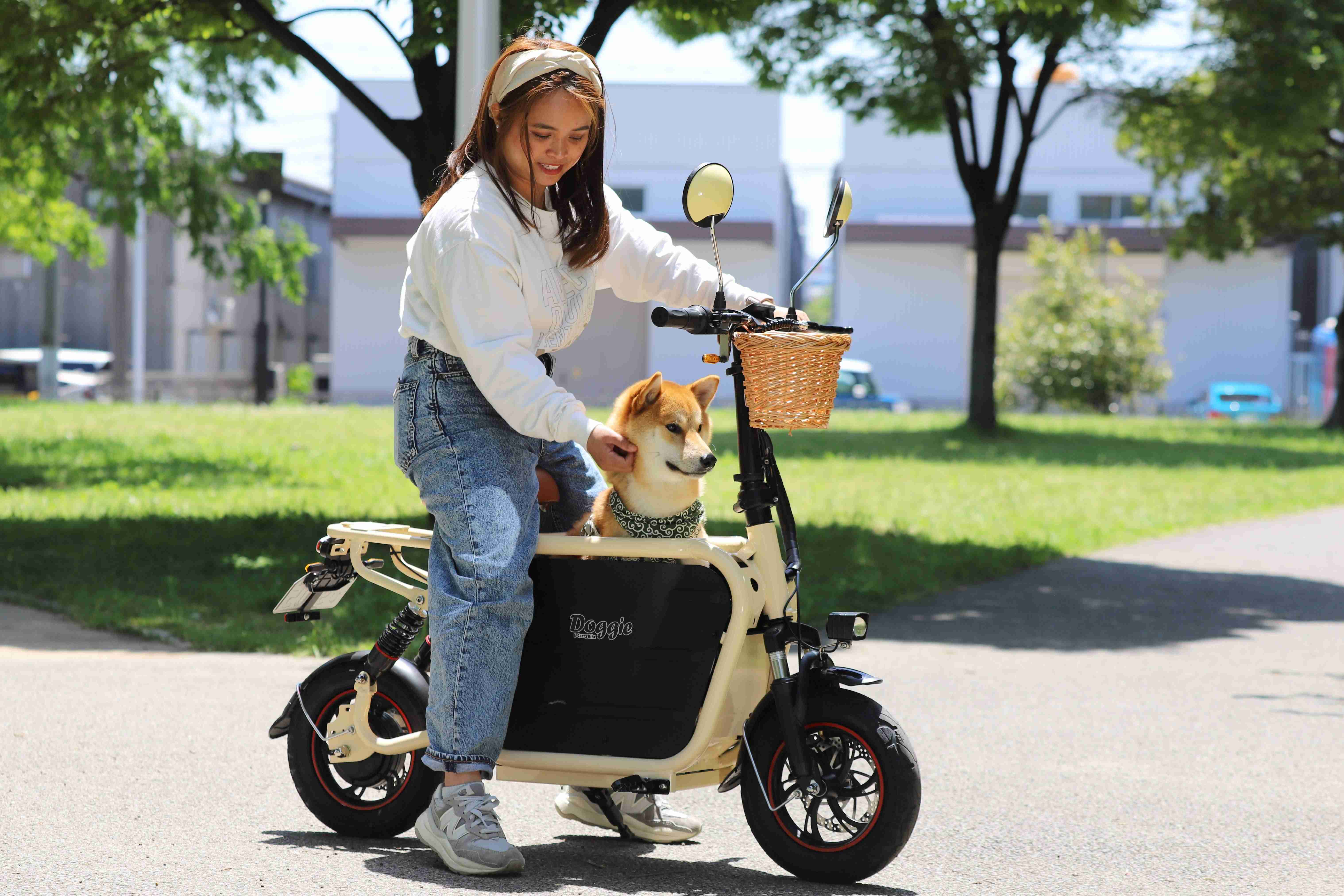 無性にバイクの免許が欲しくなってきた
