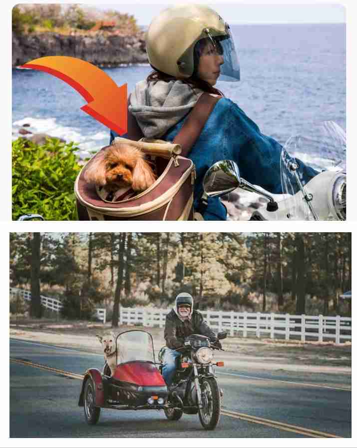 無性にバイクの免許が欲しくなってきた