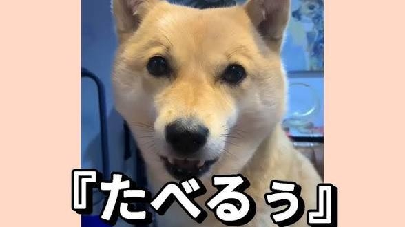 夫が何度も「食べる食べる詐欺」をしてくる