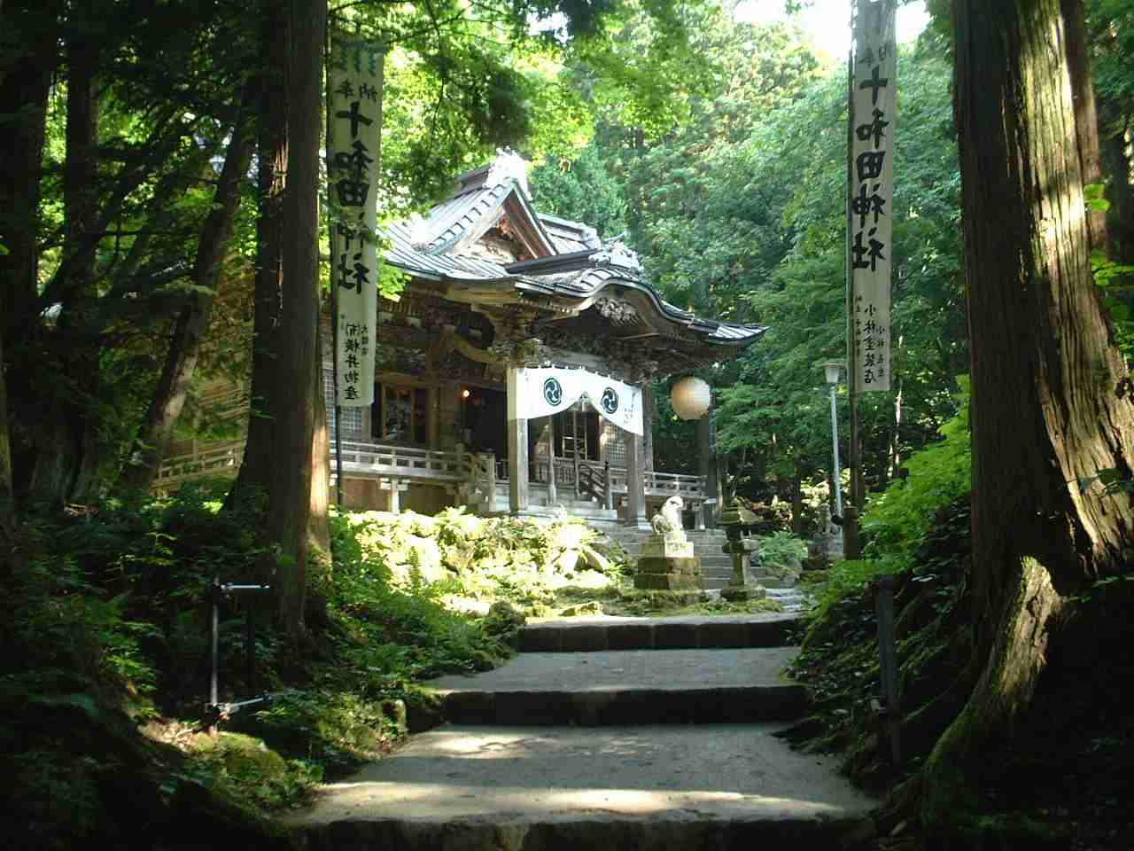 運気が上がる画像