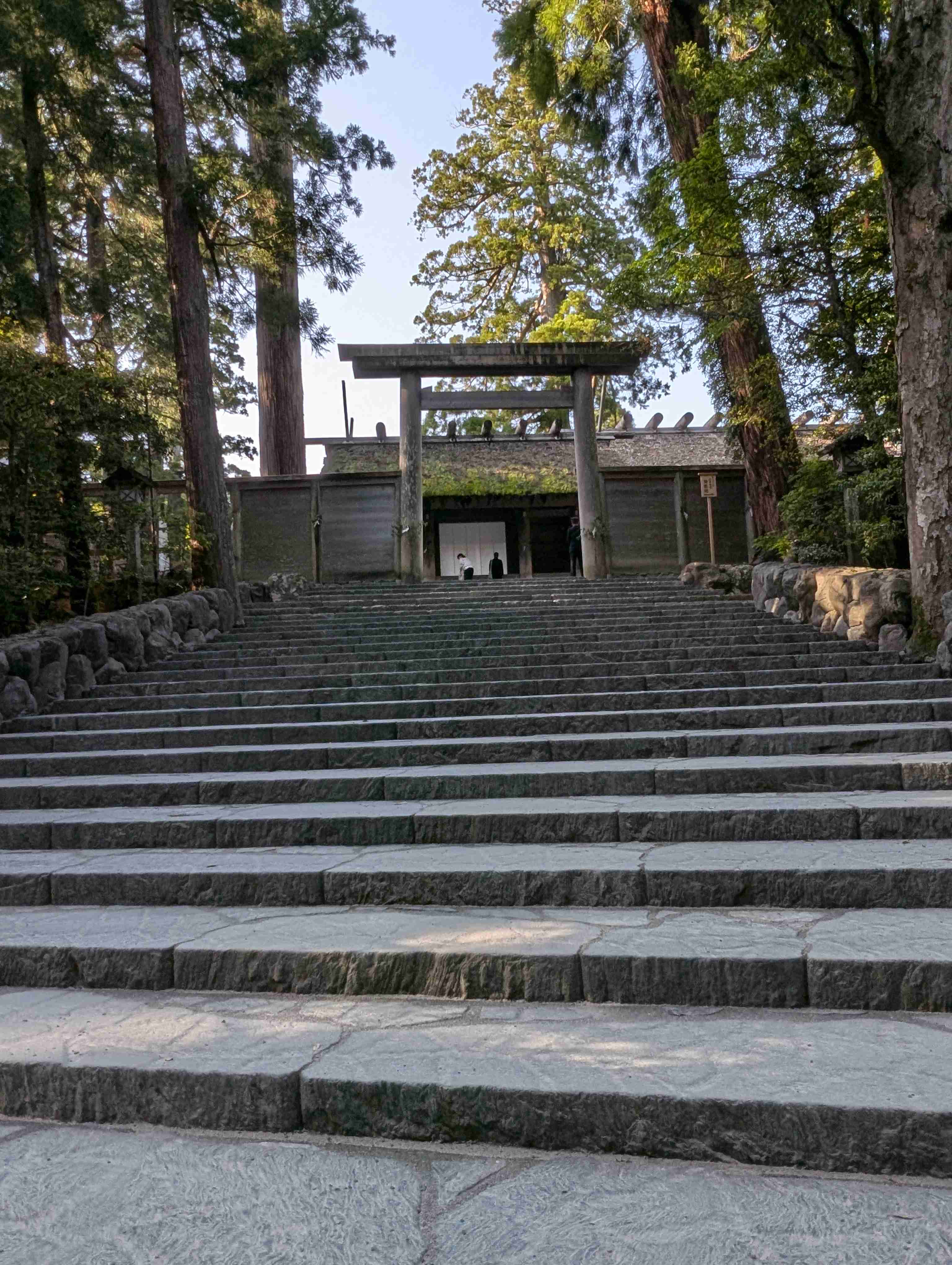 運気が上がる画像