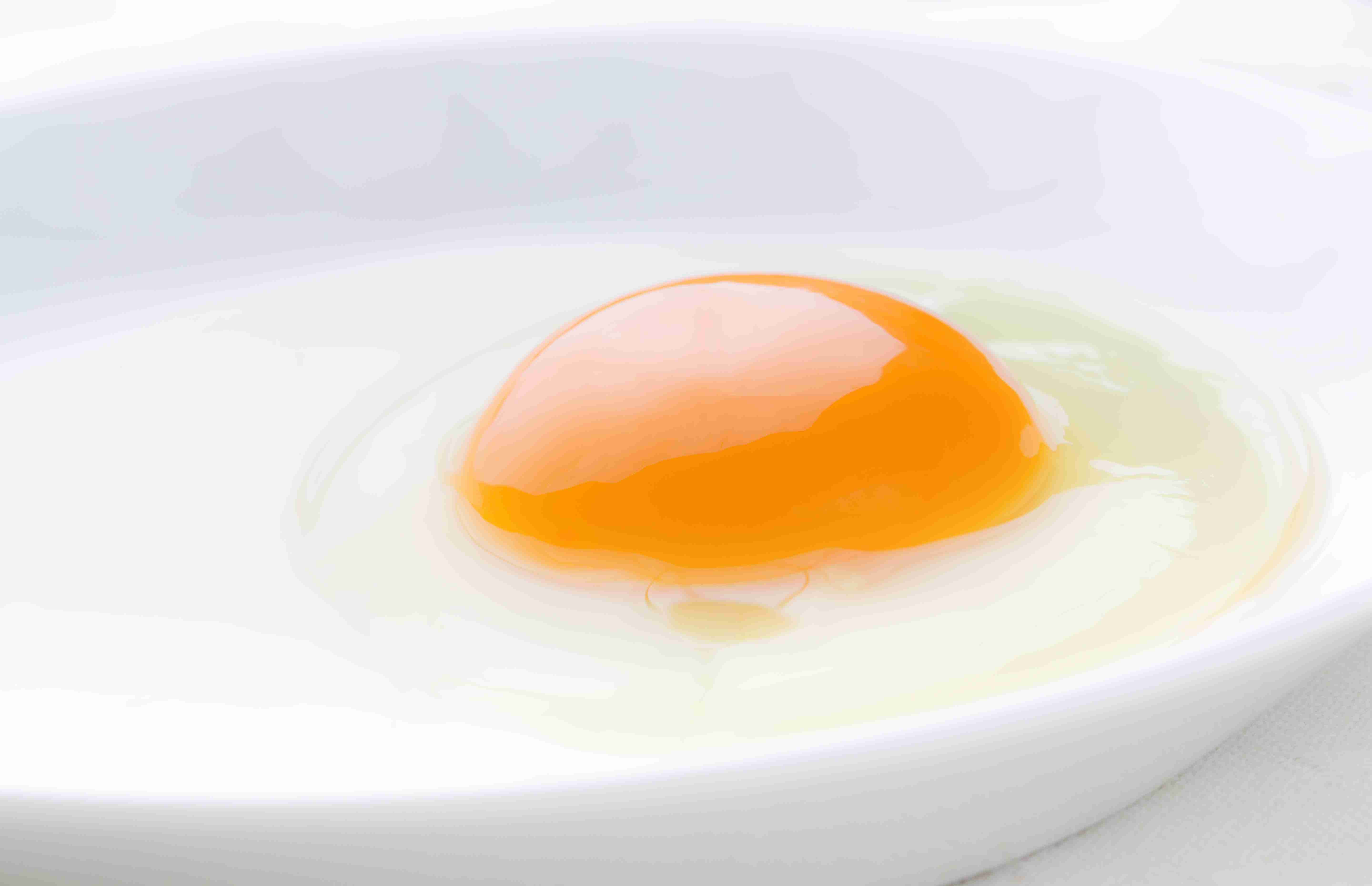 一生１つの食材だけ無料になるなら【お米以外】