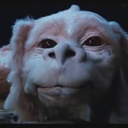 防犯カメラに我が家が映ってそうです