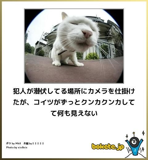 防犯カメラに我が家が映ってそうです