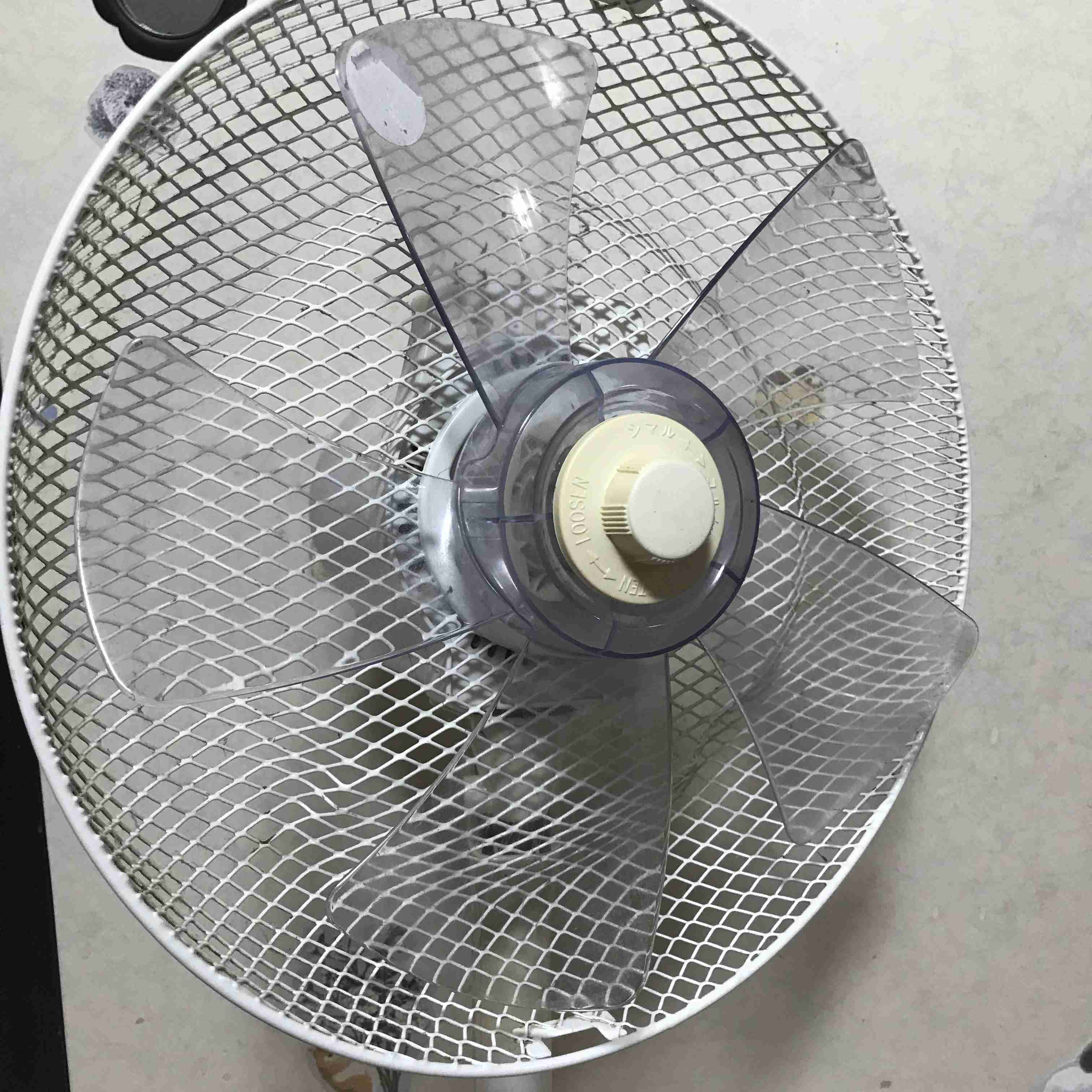 今近くにある中で一番戦闘力が高そうなモノ