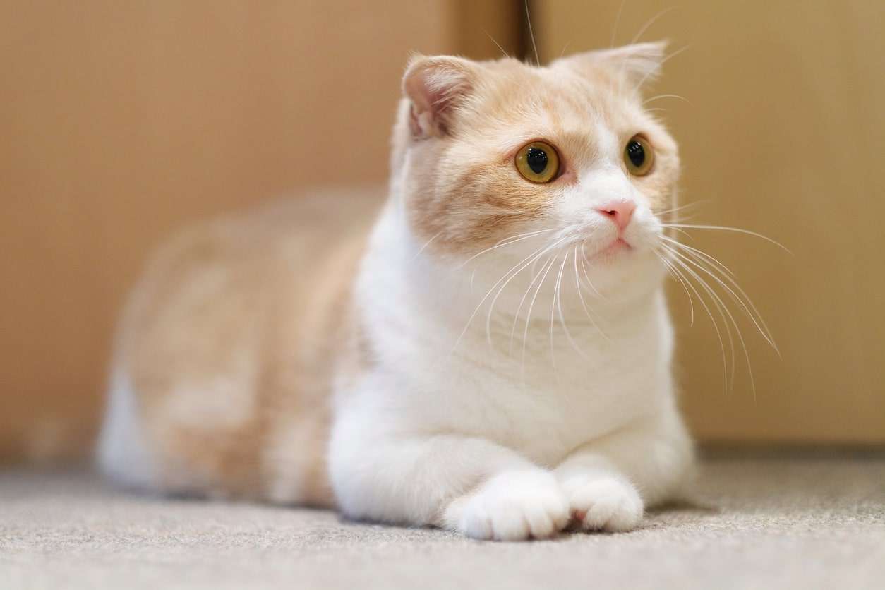 自分は他人と価値観違うかもと感じる時