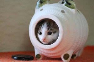 蚊に全く刺されない人
