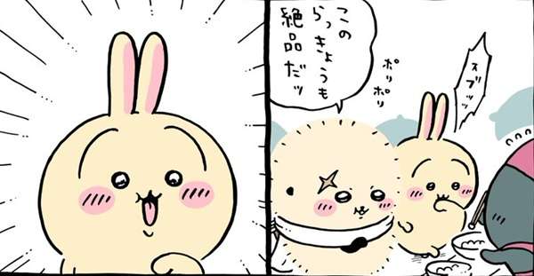 【定期】ちいかわ総合トピPart49