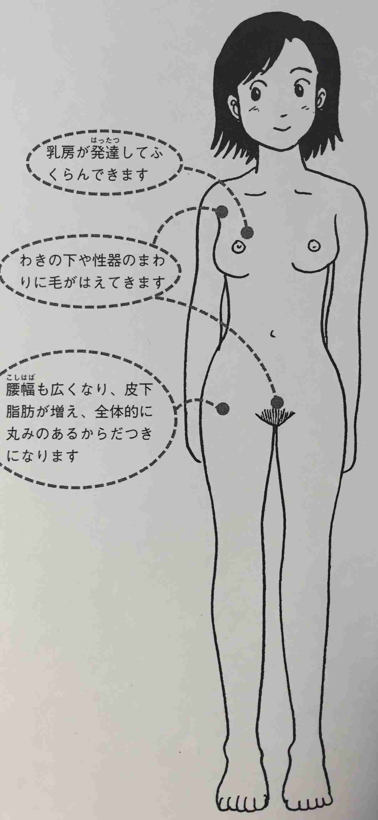 【小学生】性教育【男子】