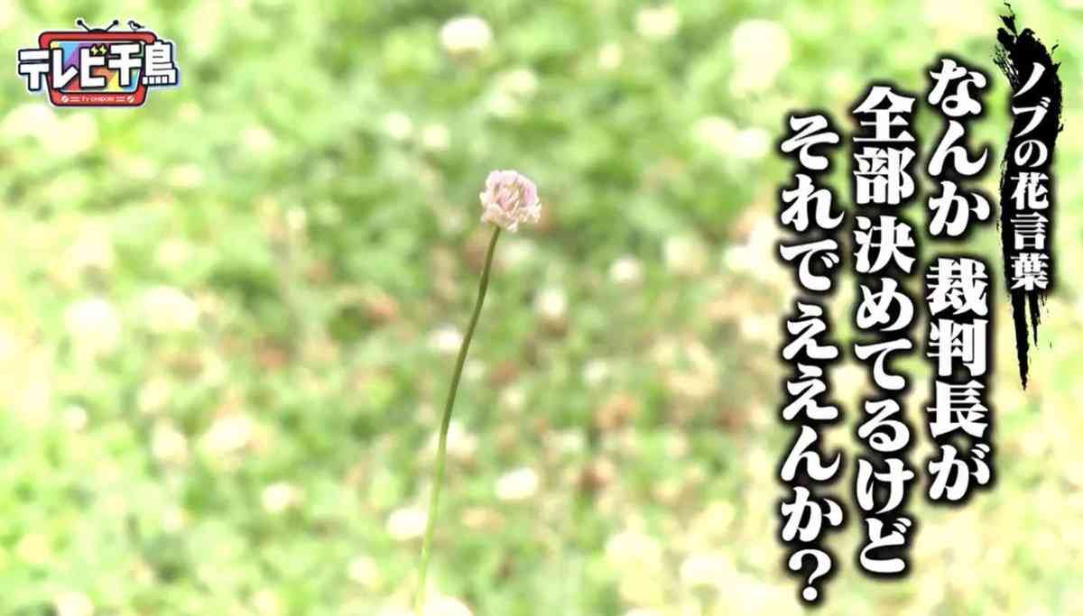 今までで名言だと思った芸能人の発言