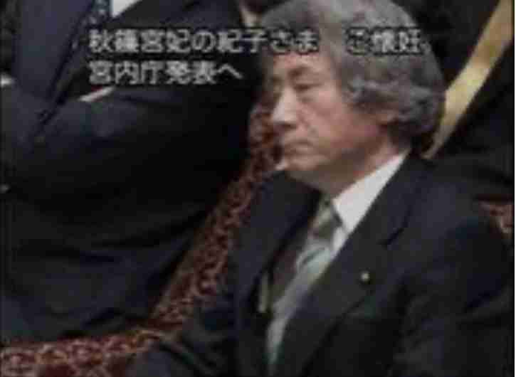 皇室典範審議、女性史家から批判の声「男系継承は作られた伝統」
