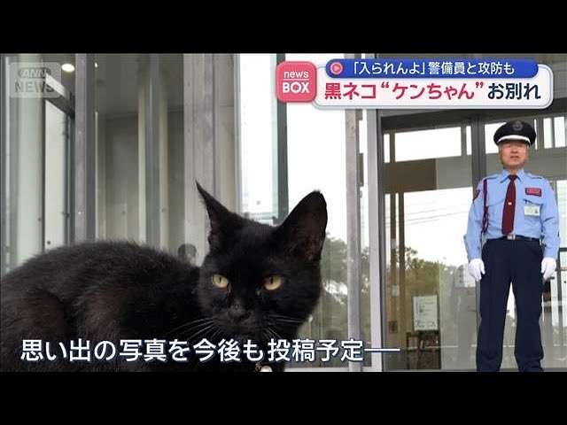 ハチワレ保護猫がニューヨーク骨博物館の警備主任に就任!