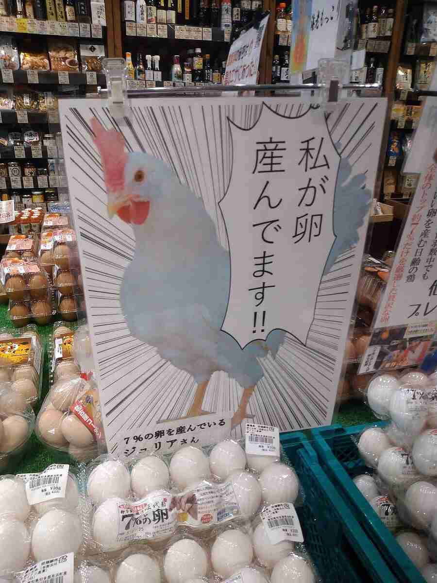 お金かけずに楽しめる推し活方法