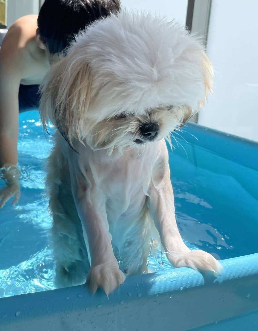 夏休み、既に疲れてる人
