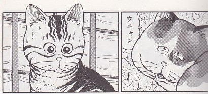 【妊活】タイミング法を飛ばした人