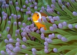 涼しくなりそうな画像を見たい【ホラー系は無しで！】