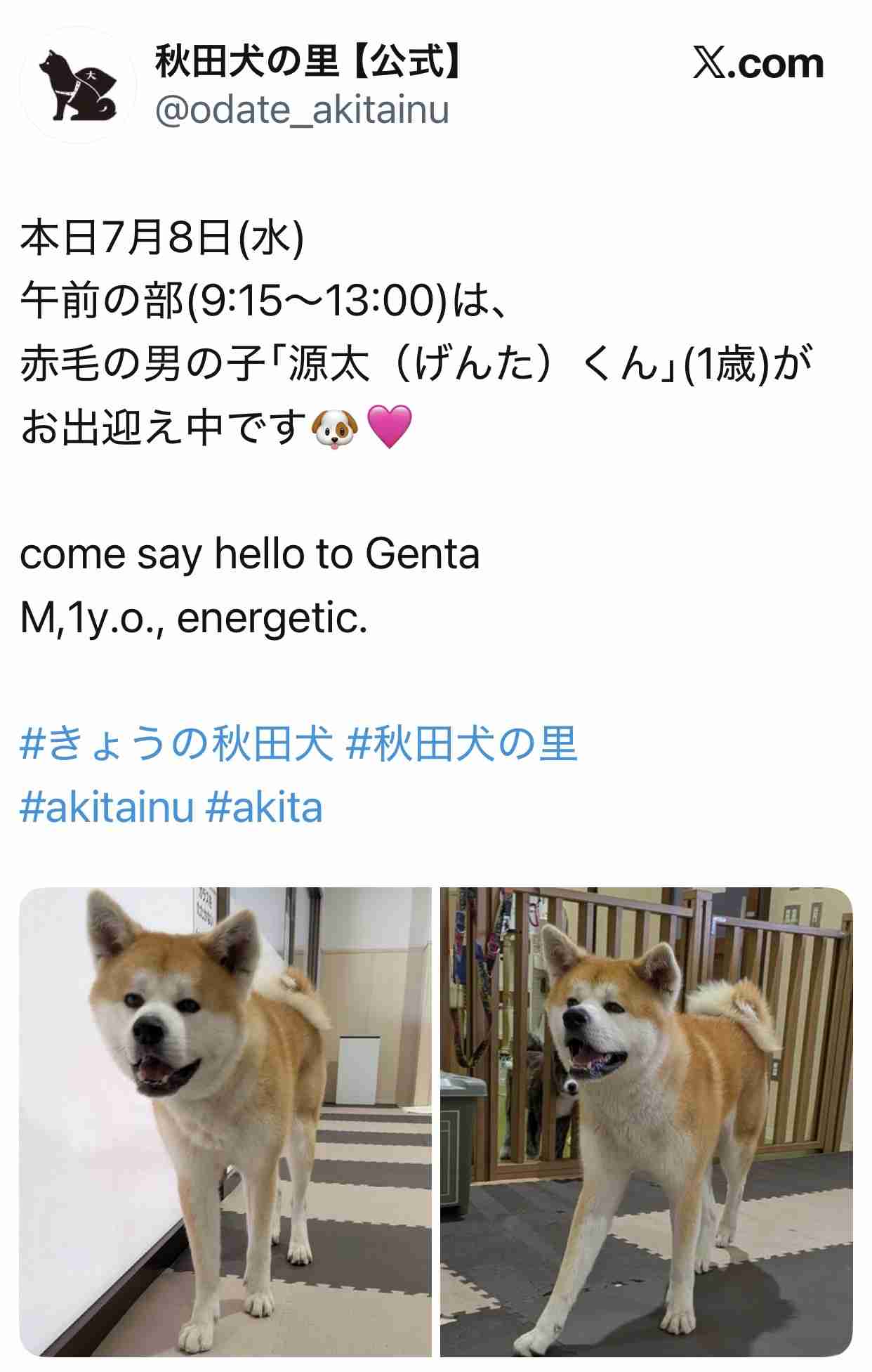 最寄駅に何がありますか？