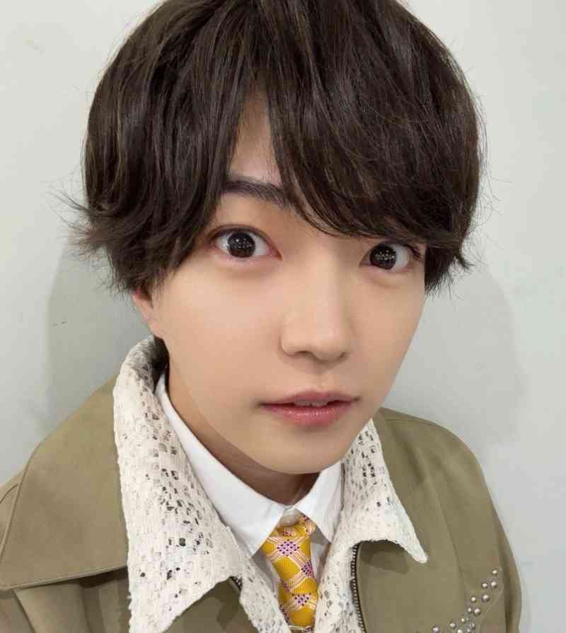 不祥事を起こさなそうな芸能人
