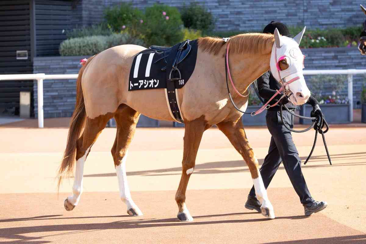 競馬について語ろう🏇【パート6】