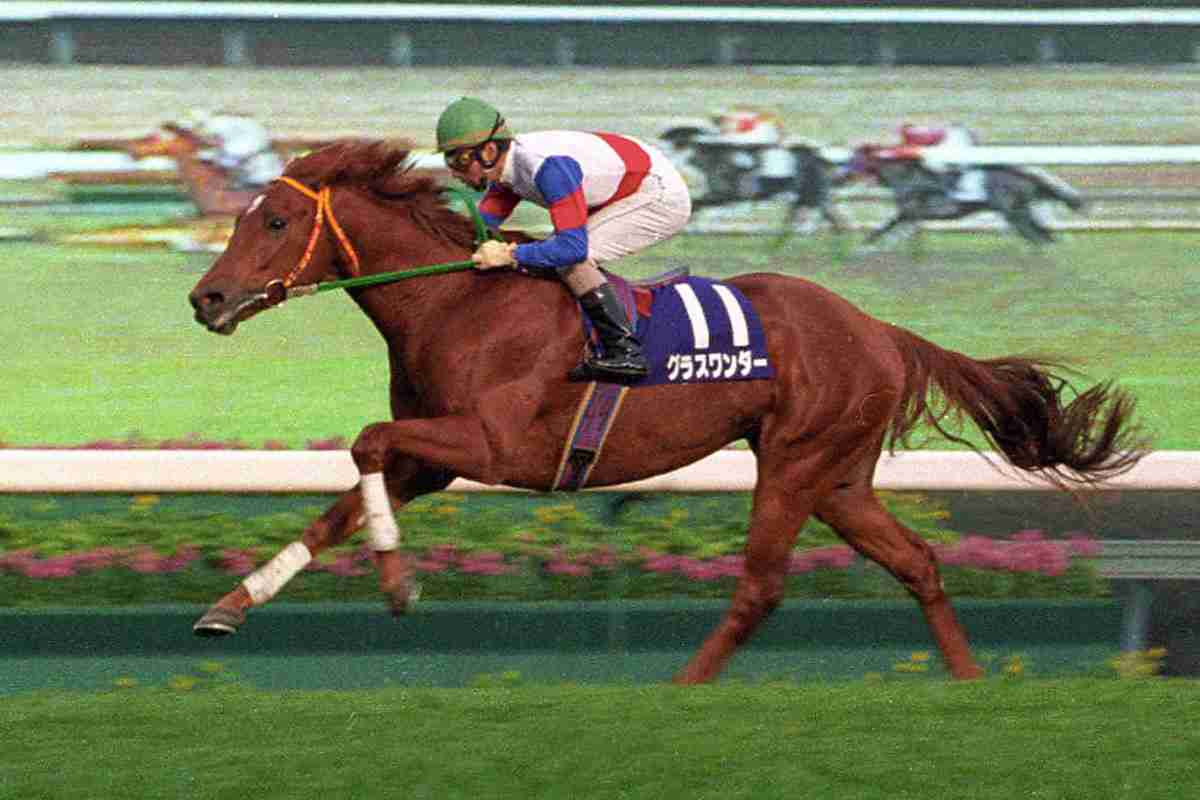 競馬について語ろう🏇【パート6】