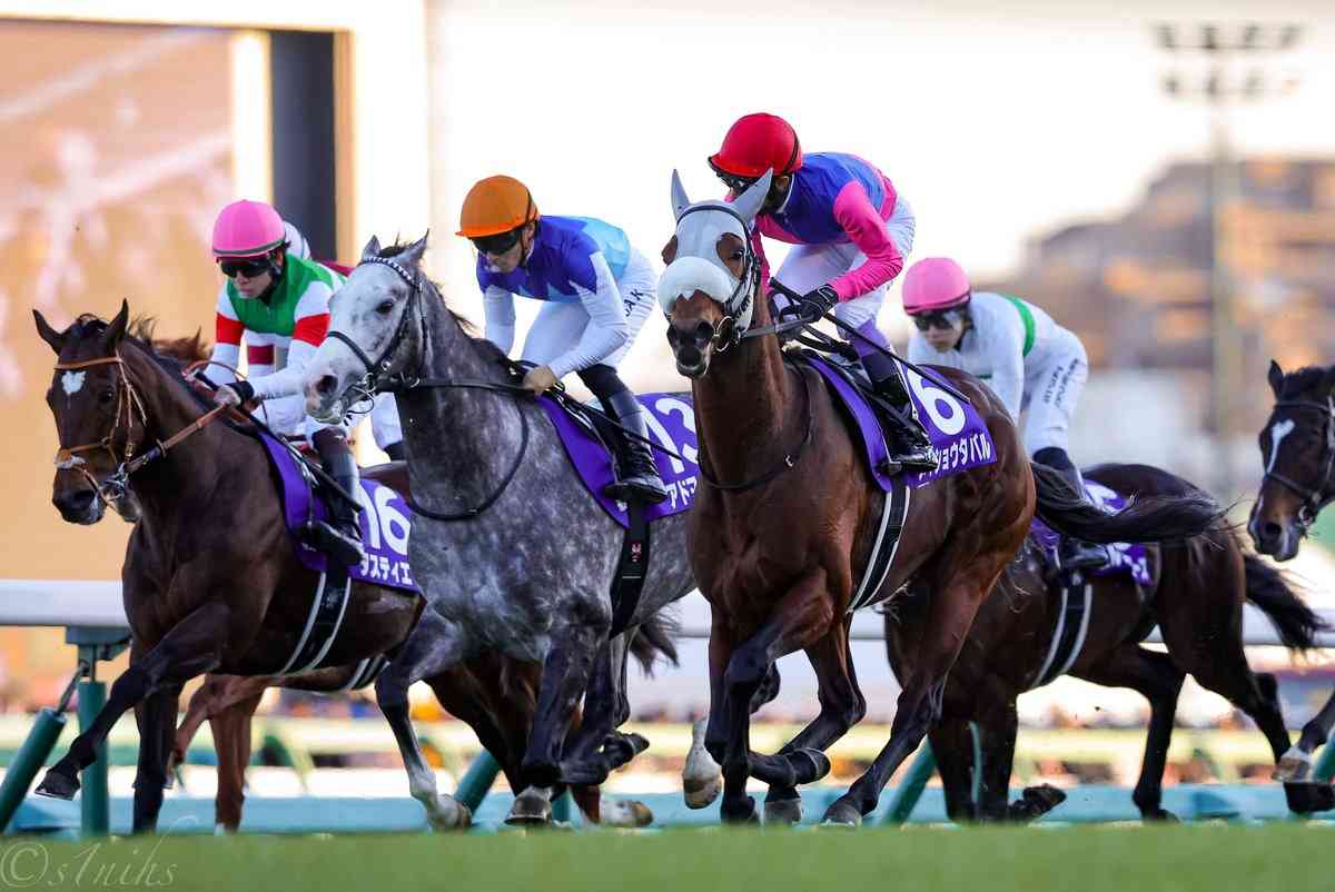 競馬について語ろう🏇【パート6】