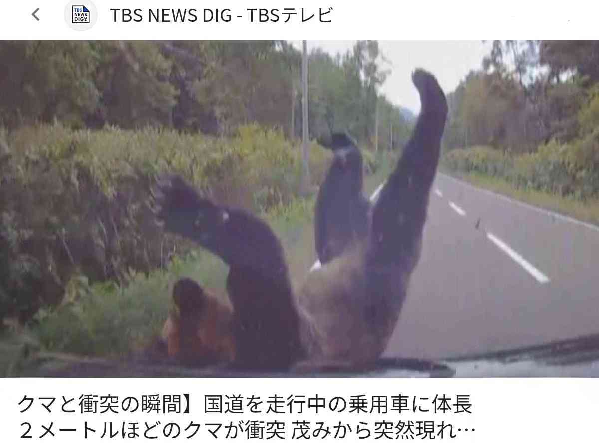 トンネル内でUターンしようとして衝突 2台の車が関係する事故 1人死亡 3人重軽傷 京都縦貫自動車道