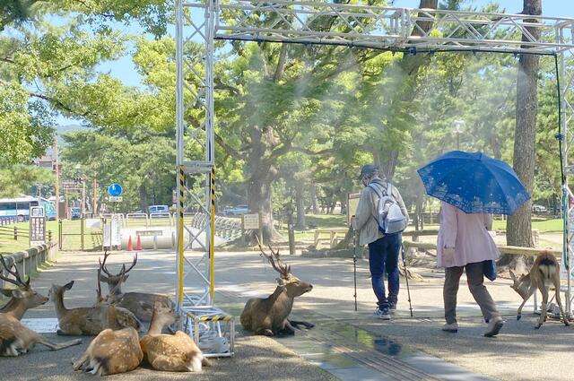 【生死に】暑さから身を守るための街でできそうなアイデア【関わる】