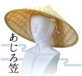 【生死に】暑さから身を守るための街でできそうなアイデア【関わる】
