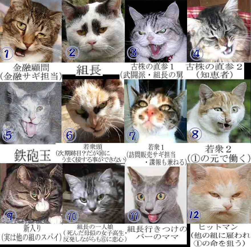 【実況・感想】FIFA ワールドカップ 2026 総合トピ24日目