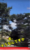 https://up.gc-img.net/post_img/2026/07/mT6bX8nQzujnfSH_RfIDw_12406.gif