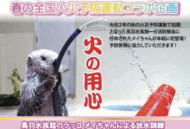 かつて122頭、現在はわずか2頭… 日本の水族館からラッコが消えた理由とは? 約30年で激減