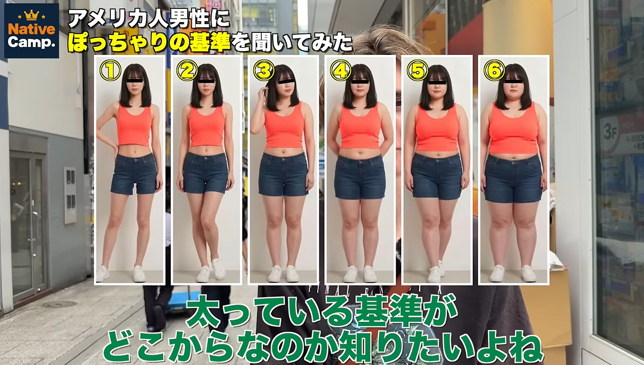 海外の体型基準に関する調査画像