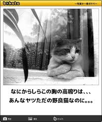 30代でピュアな恋愛を求めるのは無謀ですか?