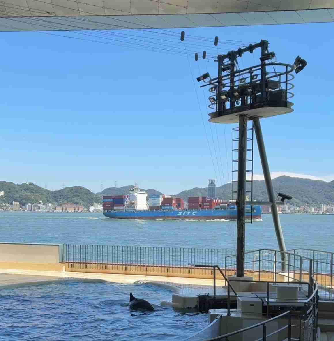水族館のおすすめ