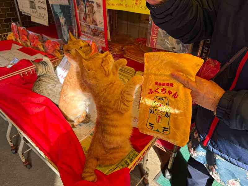夫婦喧嘩が起こるきっかけがお金