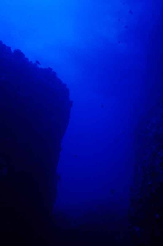 【閲覧注意】海や湖が怖くなる画像くださいPart4