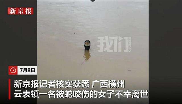 【閲覧注意】海や湖が怖くなる画像くださいPart4